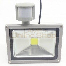 12V Input PIR LED flood light 20W for Solar system with Motion Sensor Time Lux adjust to Russia UK Spain Chile