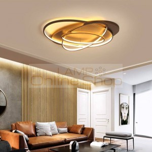 New arrival modern led ceiling lamp coffee and White color Led lamp for study room bedroom aluminum body