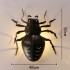 Beetle 50CM - +$136.19