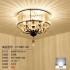 D40cm ceiling lamp